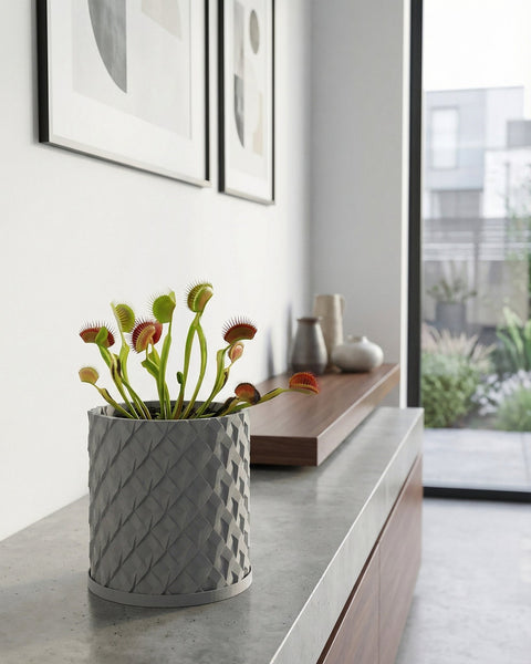 A large green plant sits in a gray textured planter pot on a dark wood floor. The pot has a woven design.