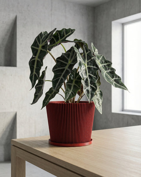 A red planter pot with a geometric design sits on a marble table next to a gray couch with a white blanket.