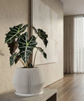 A large, white, fluted planter pot with a green plant inside sits on a gray concrete floor in a modern room. The pot has a unique, vertically ribbed design. A window with a city view is visible in the background.