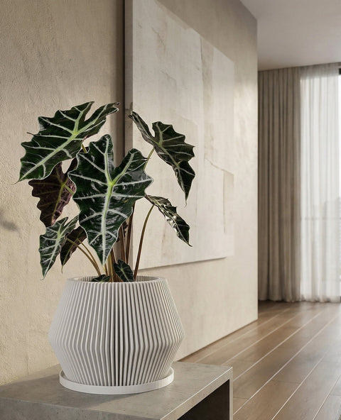 A large, white, fluted planter pot with a green plant inside sits on a gray concrete floor in a modern room. The pot has a unique, vertically ribbed design. A window with a city view is visible in the background.