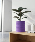A purple planter pot with a plant sits on a wooden table next to a white vase and books.