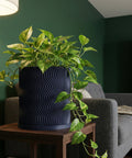 A vibrant pothos plant cascades from a stylish, dark blue planter with a unique, wavy design, set on a wooden side table.
