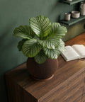 A green pothos plant sits in a brown, vertically-striped planter pot on a concrete table. The pot has a matching saucer. The background features a bright, modern living room with sheer curtains, a gray sofa, and a built-in bookshelf.