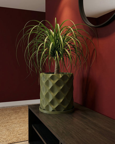 A green planter pot with a plant sits on a dark brown wooden shelf against a red wall with a round mirror.