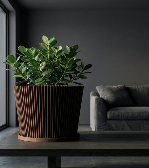 A rubber plant sits in a brown, textured planter pot on a round wooden table in a blue-toned room.
