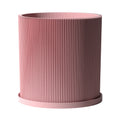 Candy Pink Ray