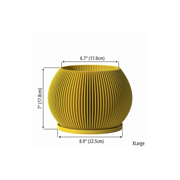 Size - [XL] 6.7