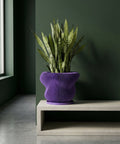 A vibrant purple planter pot with a lush green plant inside, set against a modern, minimalist backdrop.