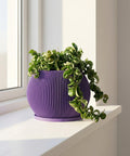 A purple planter pot with a green plant sits on a white windowsill next to a window.