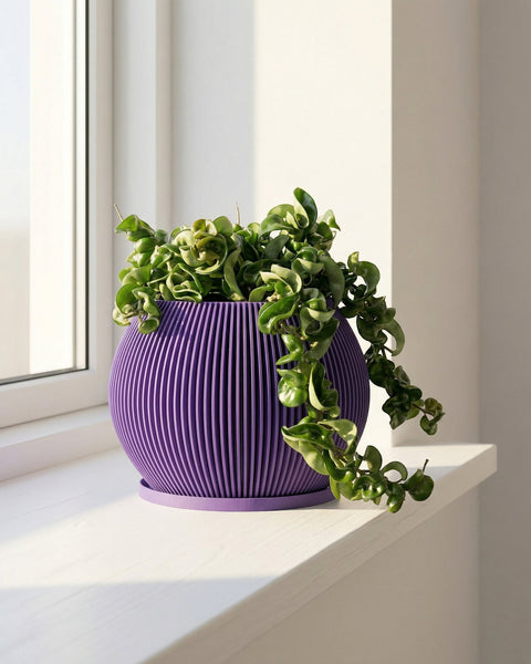 A purple planter pot with a green plant sits on a white windowsill next to a window.