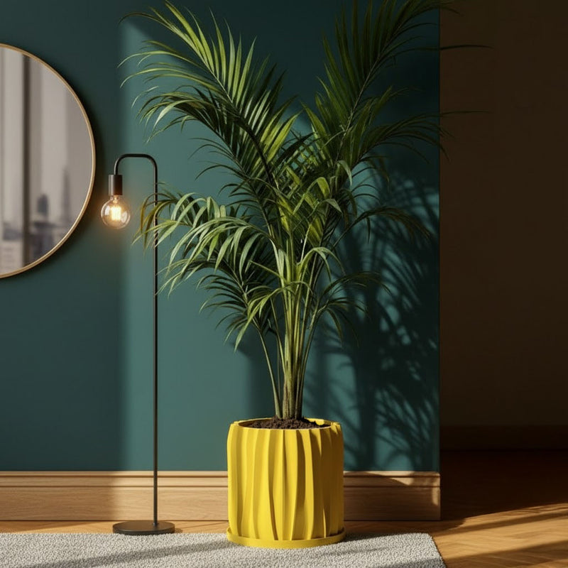 Lemon Yellow Kurtain