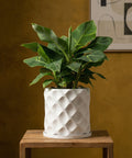 A white geometric planter pot with a green houseplant sits on a wooden table against a yellow wall.