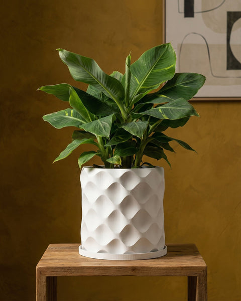 A white geometric planter pot with a green houseplant sits on a wooden table against a yellow wall.