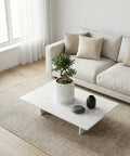 A white planter pot with a small tree sits on a marble coffee table in a bright living room.