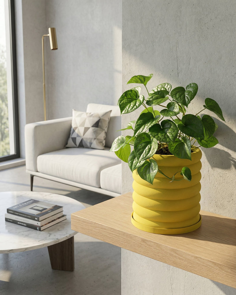 A vibrant green plant sits in a yellow, ribbed planter pot on a light wood shelf in a modern living room.
