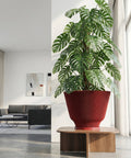 A tall, vibrant green Monstera plant is potted in a striking, vertically ribbed red planter. The planter sits atop a modern, light-wood table with a unique, open base design. The setting is a bright, minimalist living space with a gray sofa, abstract art, and sheer white curtains.