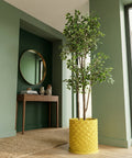 A tall ficus tree in a bright yellow geometric planter pot sits on a wooden floor in a green room.