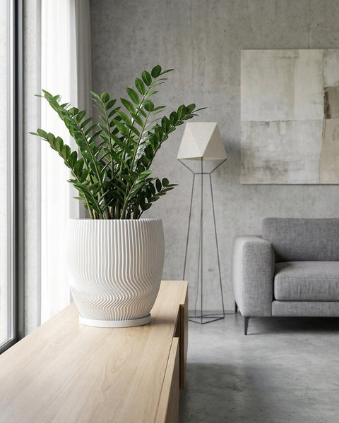 A ZZ plant in a white, modern planter pot sits on a wooden table in a stylish living room.