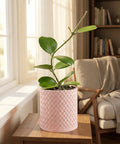 A pink woven planter pot sits on a wooden table next to a window with a plant growing inside.