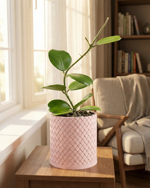 A pink woven planter pot sits on a wooden table next to a window with a plant growing inside.