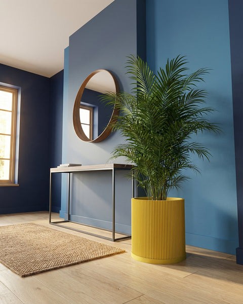 A yellow planter pot with a green plant inside is displayed in a room with blue walls, a wooden floor, and a rug.