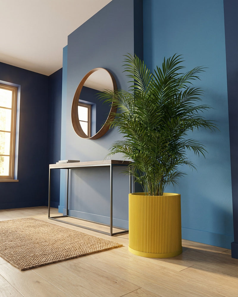 A yellow planter pot with a green plant inside is displayed in a room with blue walls, a wooden floor, and a rug.