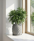 A green plant in a gray, textured planter pot sits on a white windowsill next to a window.