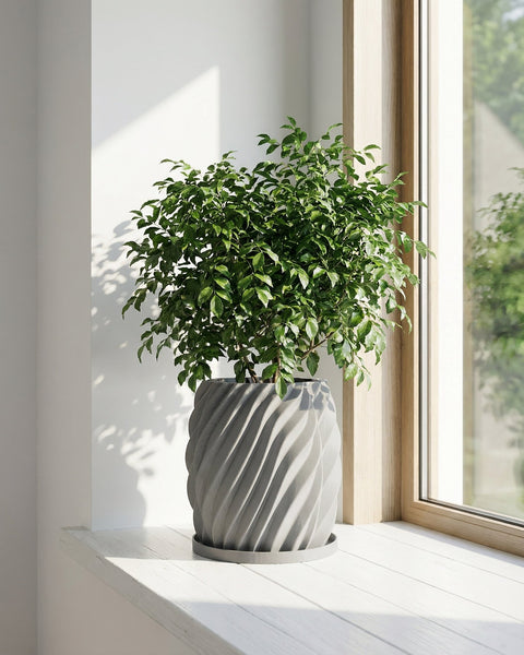 A green plant in a gray, textured planter pot sits on a white windowsill next to a window.