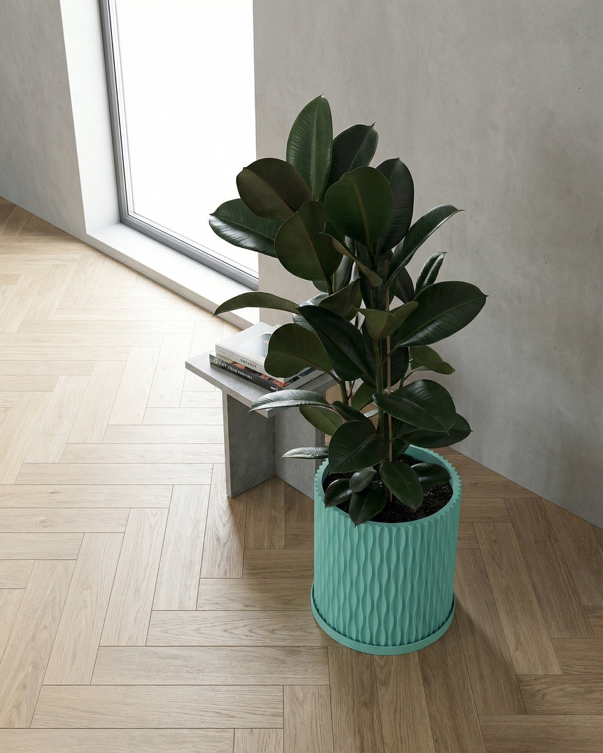 A Philodendron Pink Princess plant sits in a textured, light blue planter pot on a wooden surface. The background is a yellow wall.