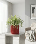 A red planter pot with a green plant sits on a wooden shelf in front of a window. The pot has a spiral design.