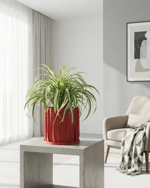A red planter pot with a green plant sits on a wooden shelf in front of a window. The pot has a spiral design.