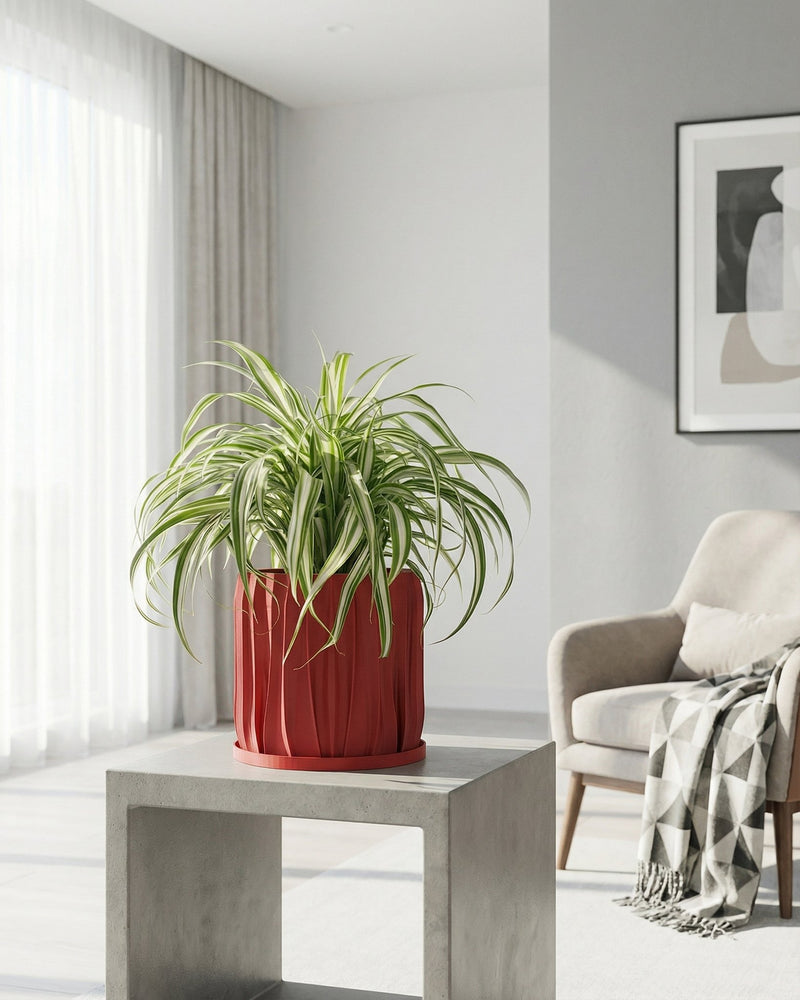 A red planter pot with a green plant sits on a wooden shelf in front of a window. The pot has a spiral design.