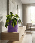 A purple woven planter pot sits on a light wood shelf, holding a green and yellow plant. The shelf is against a textured gray wall.
