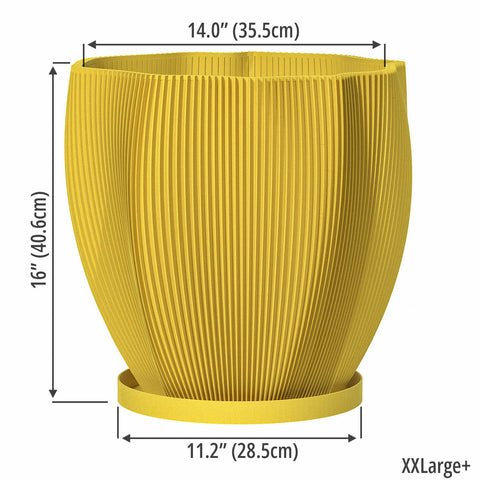 Lemon Yellow Coconut