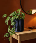 A dark blue planter pot with a textured, swirling design sits on a wooden cabinet, holding a green plant with round leaves.
