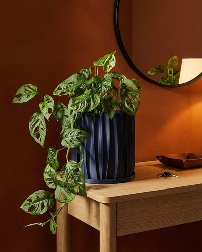 Deep Ocean Blue Kurtain