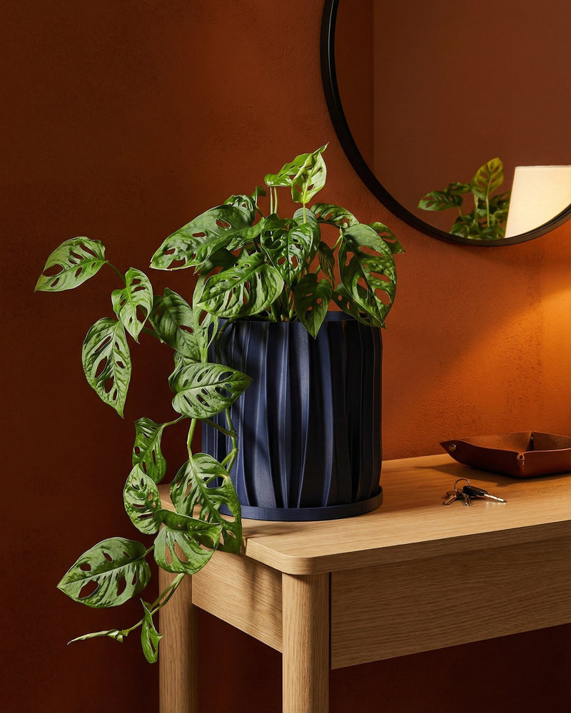 A dark blue planter pot with a textured, swirling design sits on a wooden cabinet, holding a green plant with round leaves.
