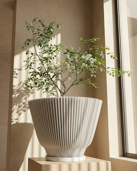A white, fluted planter pot sits on a light wood stand, holding a small tree with green leaves and white flowers. Sunlight streams in from a nearby window, casting shadows on the wall behind the pot. The background is a neutral beige color.