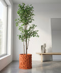 A ficus tree in a textured orange planter pot sits next to a window in a minimalist room.