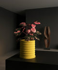 A vibrant pink philodendron plant in a yellow ribbed planter pot sits on a dark surface against a dark wall.