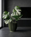 A green planter pot with a plant next to a gray chair in a room with green walls.