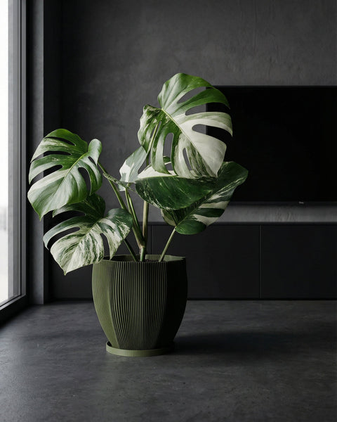 A green planter pot with a plant next to a gray chair in a room with green walls.
