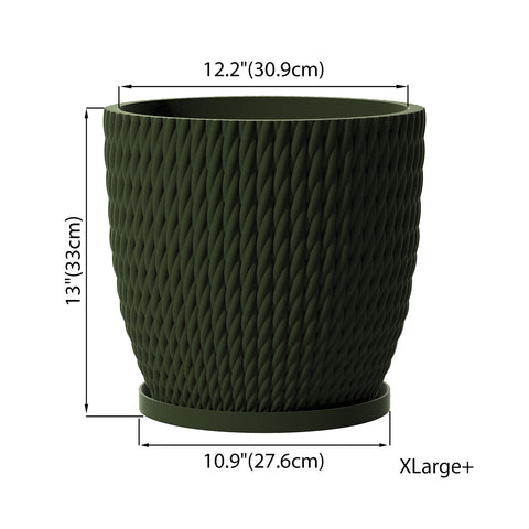 Avocado Green Vine