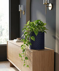 A blue woven planter pot with a green pothos plant sits atop a wooden cabinet in a room with modern decor.