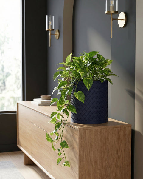 A blue woven planter pot with a green pothos plant sits atop a wooden cabinet in a room with modern decor.