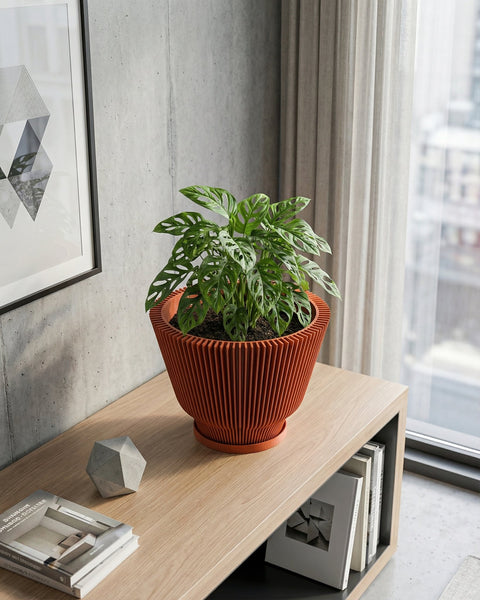 A Swiss cheese plant in a terracotta planter pot sits on a light wood shelf next to a window. A framed geometric print hangs on the wall behind the plant. A concrete polyhedron and books are also on the shelf.