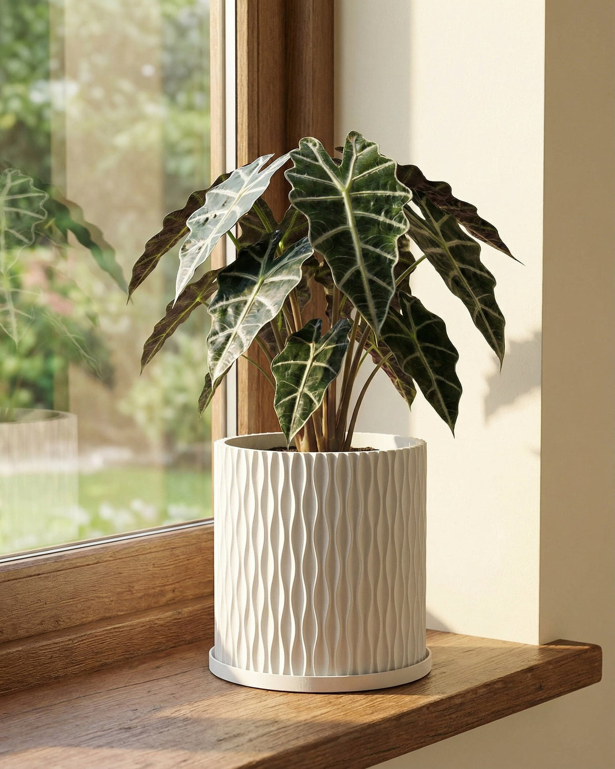 A Pilea peperomioides plant sits in a white, textured planter on a dark wooden side table next to a gray couch.