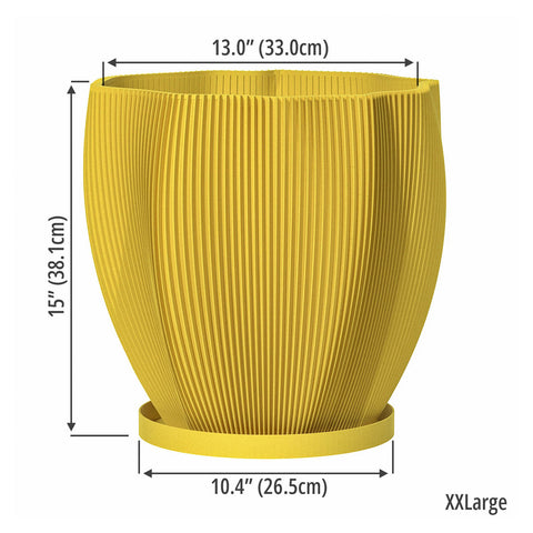 Lemon Yellow Coconut