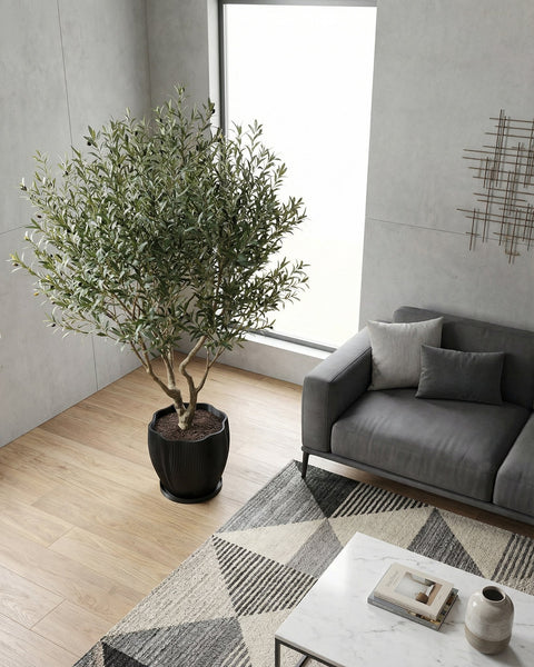 A rubber plant in a black, textured planter pot sits on a white windowsill, bathed in sunlight.
