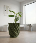 A green planter pot with a textured surface sits on a dark wooden table, filled with a lush green plant with variegated leaves. The background is a solid orange wall.